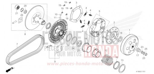 COTE MENE (NSS350A) NSS350AR de 2024